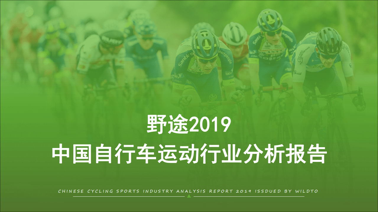 野途：2019年中国自行车运动行业分析报告.pdf 第1页