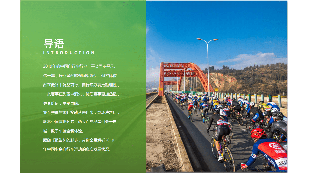 野途：2019年中国自行车运动行业分析报告.pdf 第5页