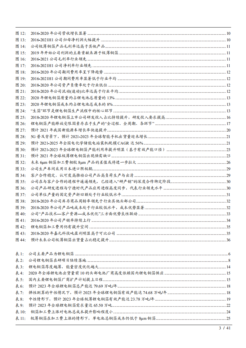 2021年锂电铜箔行业市场供需研究及领军企业嘉元科技财务分析报告.pdf 第2页
