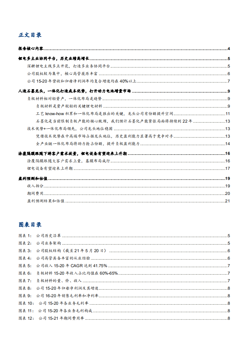 2021年璞泰来公司一体化布局与人造石墨负极行业研究报告.pdf 第1页