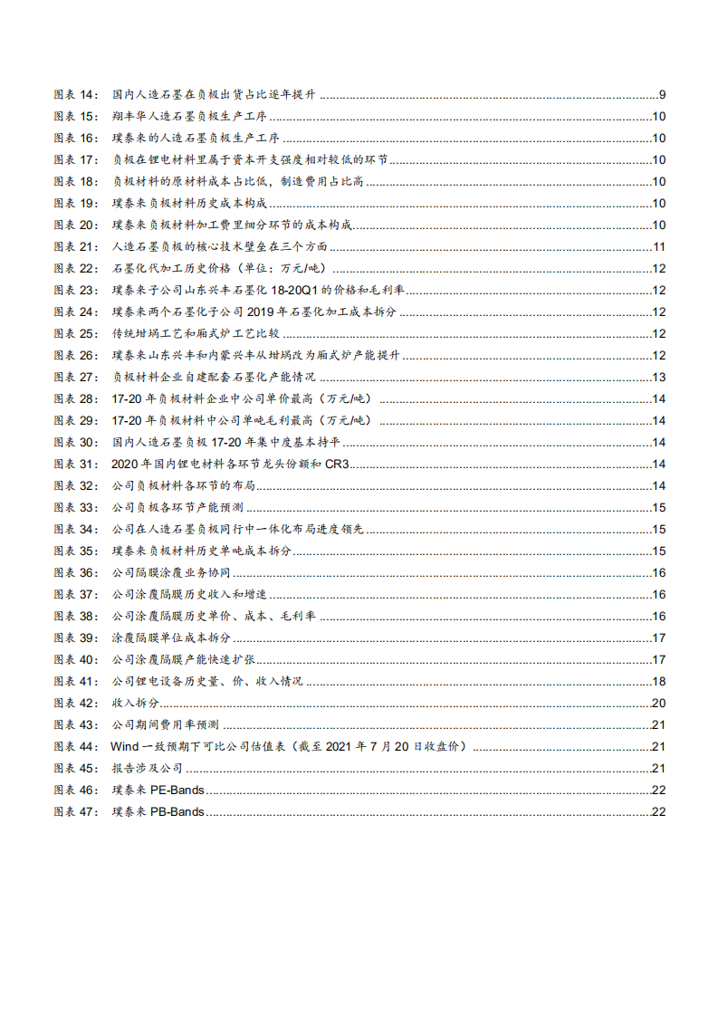 2021年璞泰来公司一体化布局与人造石墨负极行业研究报告.pdf 第2页