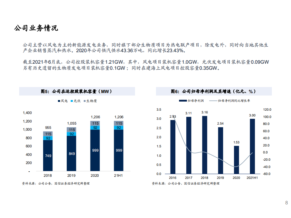 2021年江苏新能竞争优势SWOT分析及新能源行业格局研究报告.pdf 第6页