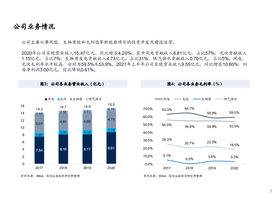 2021年江苏新能竞争优势SWOT分析及新能源行业格局研究报告.pdf 第5页