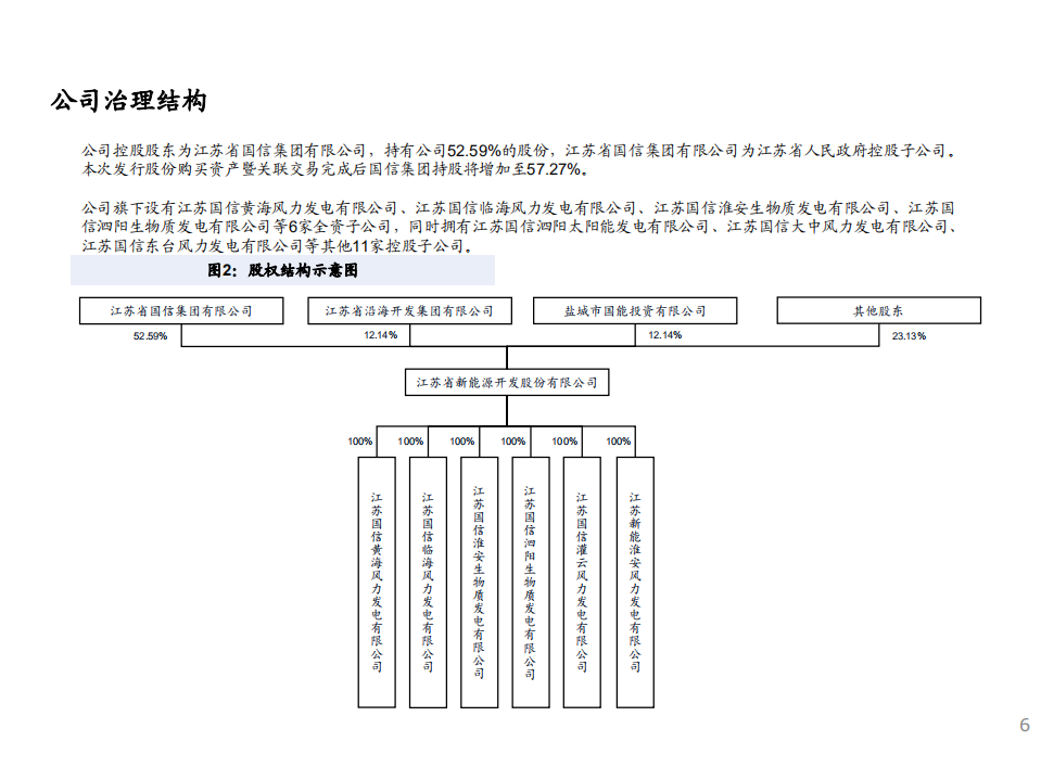 2021年江苏新能竞争优势SWOT分析及新能源行业格局研究报告.pdf 第4页