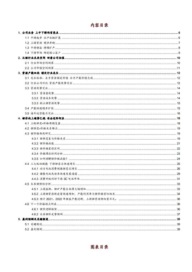 2021年锂行业未来空间及赣锋锂业公司资源优势分析报告.pdf 第1页