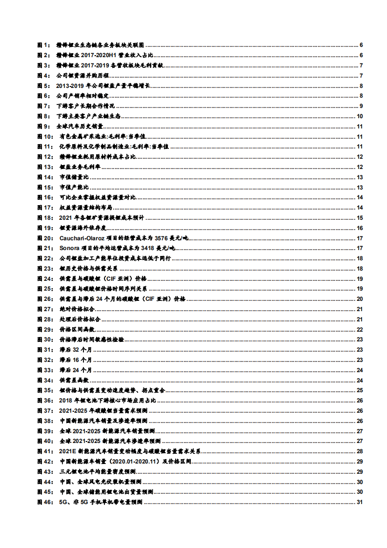 2021年锂行业未来空间及赣锋锂业公司资源优势分析报告.pdf 第2页