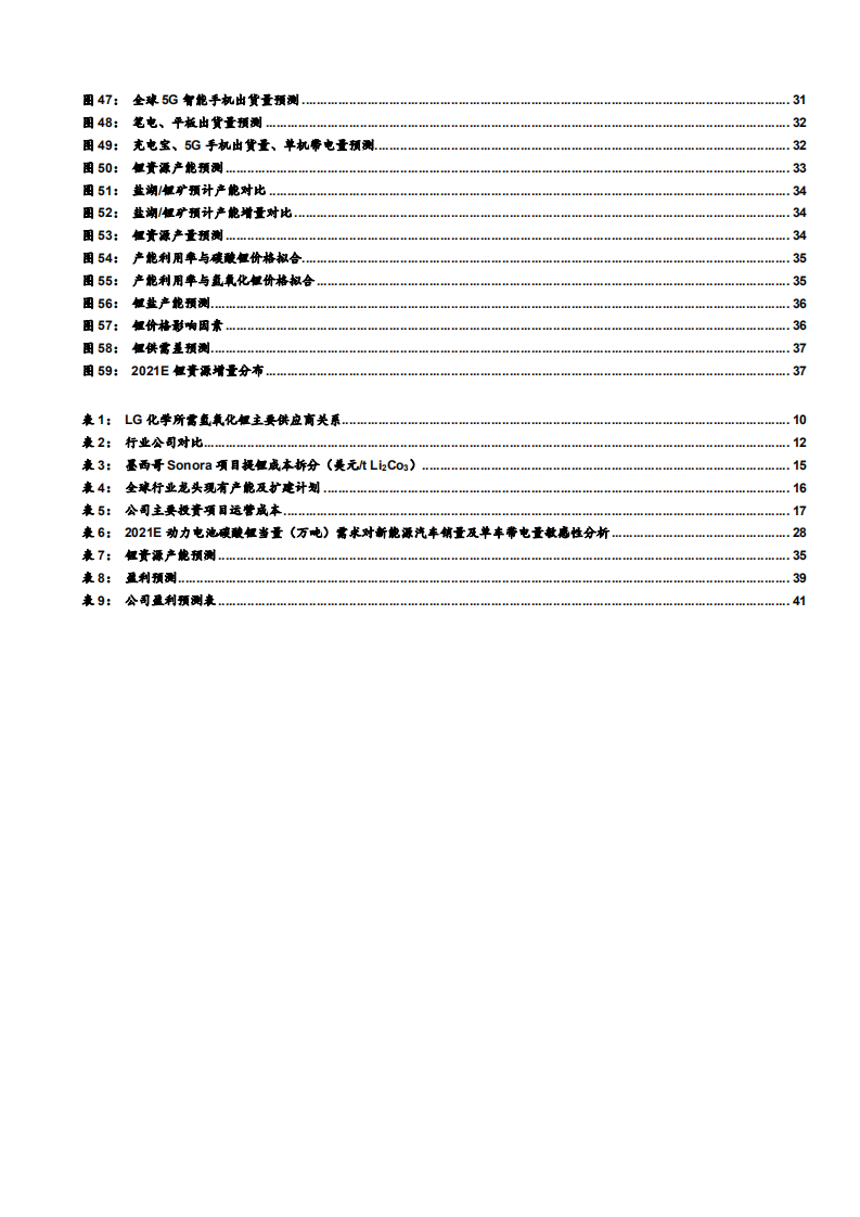 2021年锂行业未来空间及赣锋锂业公司资源优势分析报告.pdf 第3页