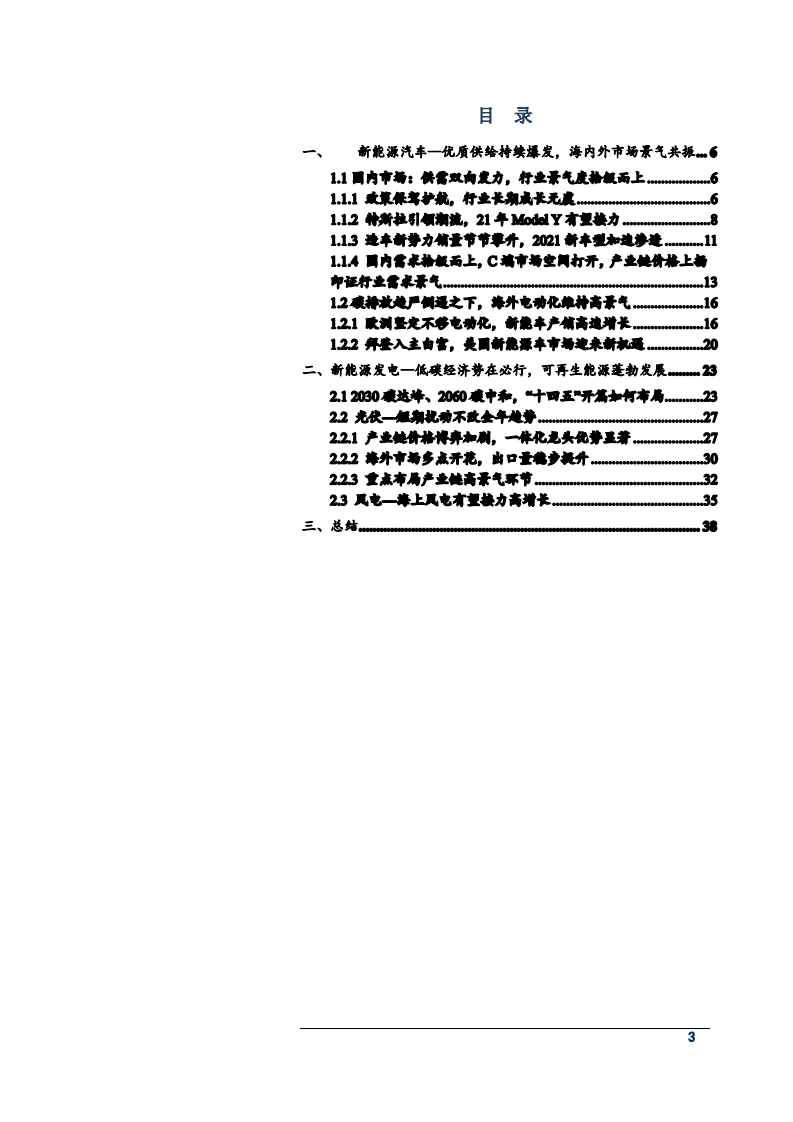 2021年新能源行业供需状况及全球低碳经济发展趋势分析报告.pdf 第1页