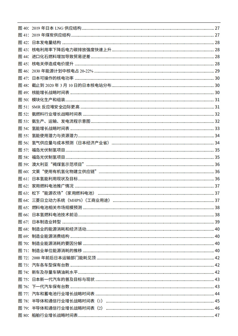 2021年新能源行业日本降碳发展趋势分析报告.pdf 第3页