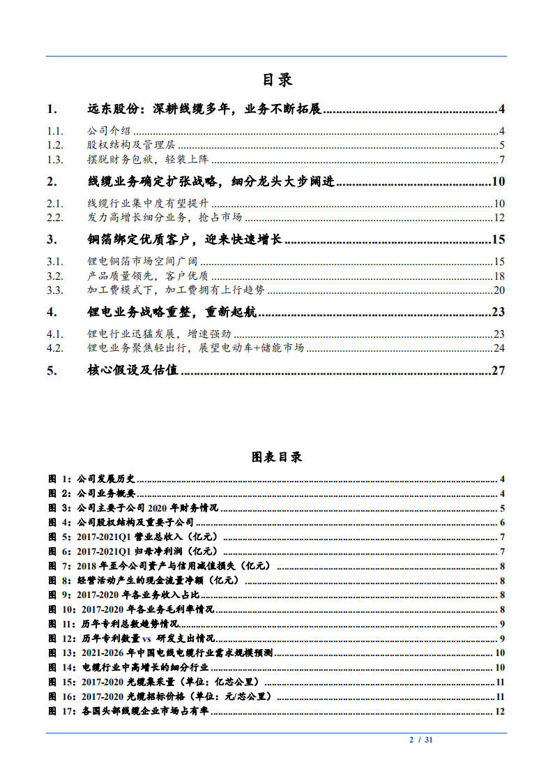 2021年远东股份公司锂电业务与线缆行业发展前景分析报告.pdf 第1页
