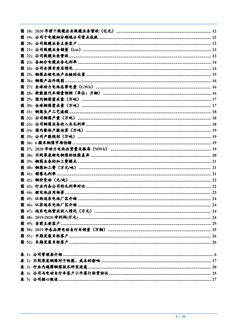 2021年远东股份公司锂电业务与线缆行业发展前景分析报告.pdf 第2页