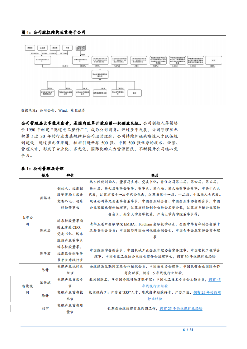 2021年远东股份公司锂电业务与线缆行业发展前景分析报告.pdf 第5页