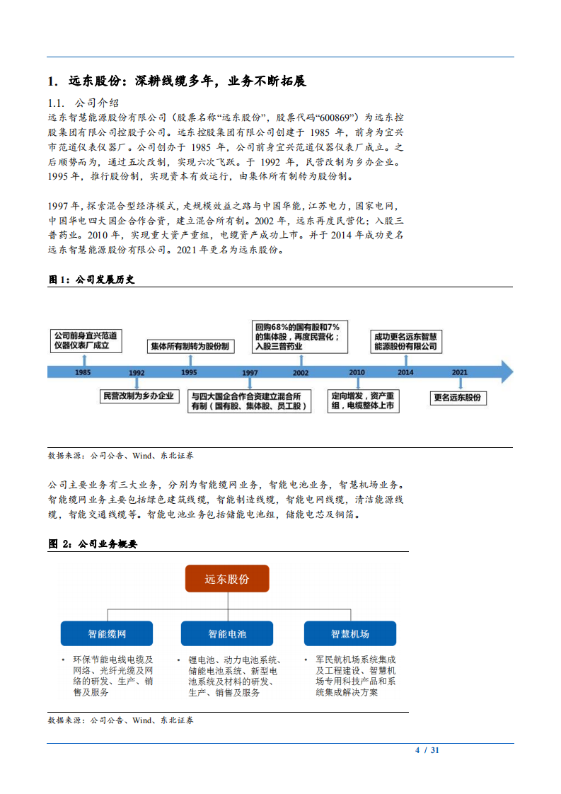 2021年远东股份公司锂电业务与线缆行业发展前景分析报告.pdf 第3页