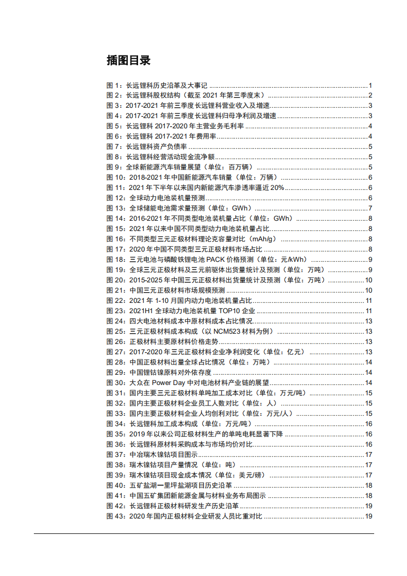 2021年长远锂科公司竞争优势分析及三元正极材料行业发展现状研究报告.pdf 第2页