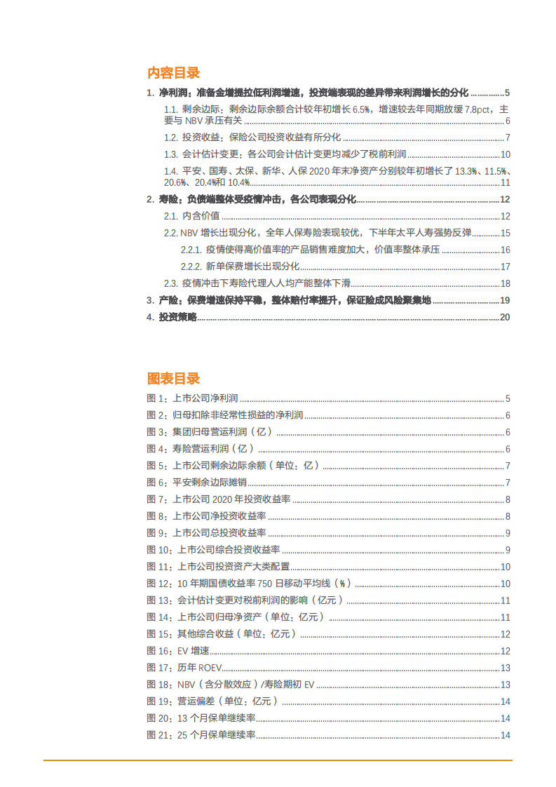 2021年保险行业利润状况与主要业务前景分析报告.pdf 第1页