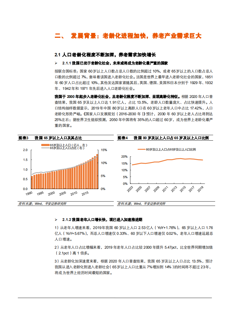 2021年保险行业人口老龄化与需求多元化分析报告.pdf 第6页