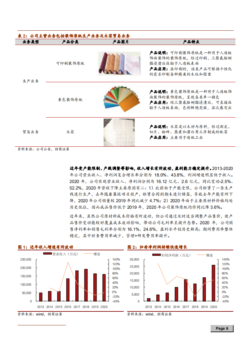 2021年华旺科技公司技术优势与中高端装饰原纸行业格局分析报告.pdf 第5页