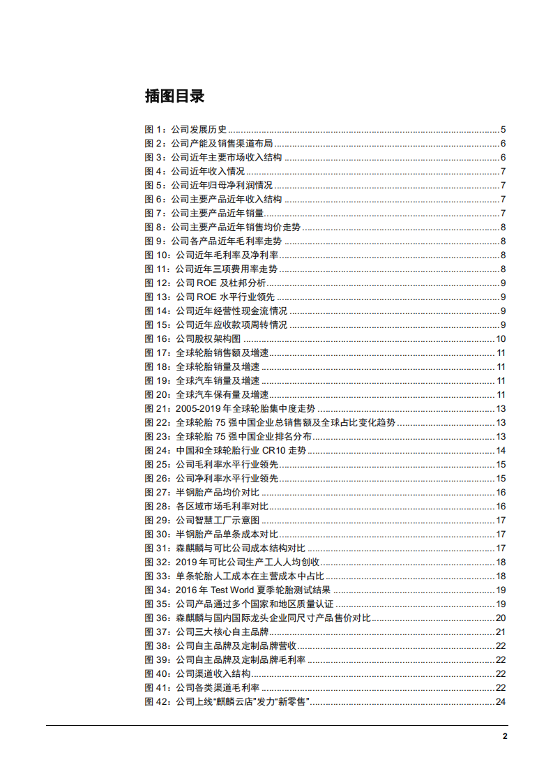 2021年全球轮胎行业发展现状及森麒麟盈利能力分析报告.pdf 第2页