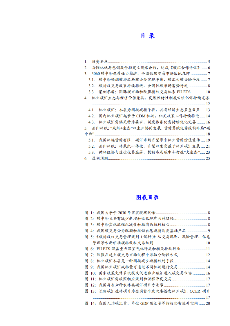 2021年岳阳林纸公司资源禀赋优势与布局碳中和分析报告.pdf 第1页