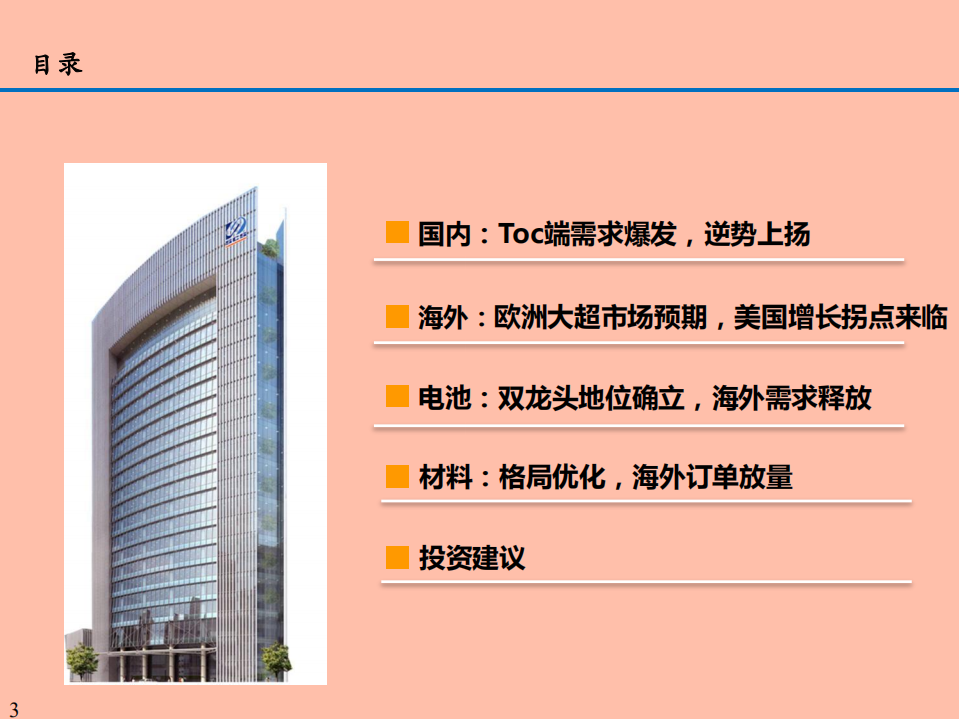 电动车行业2020年数据总结分析报告.pdf 第1页