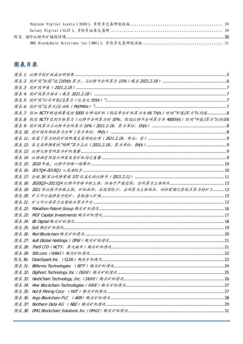 2021年区块链行业全球比特币挖矿股数据总结分析报告.pdf 第2页