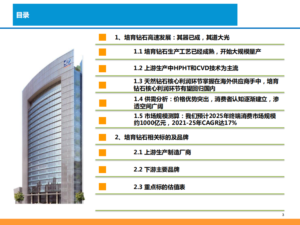 2021年培育钻石行业供需分析及2025年终端消费市场规模测算报告.pdf 第1页