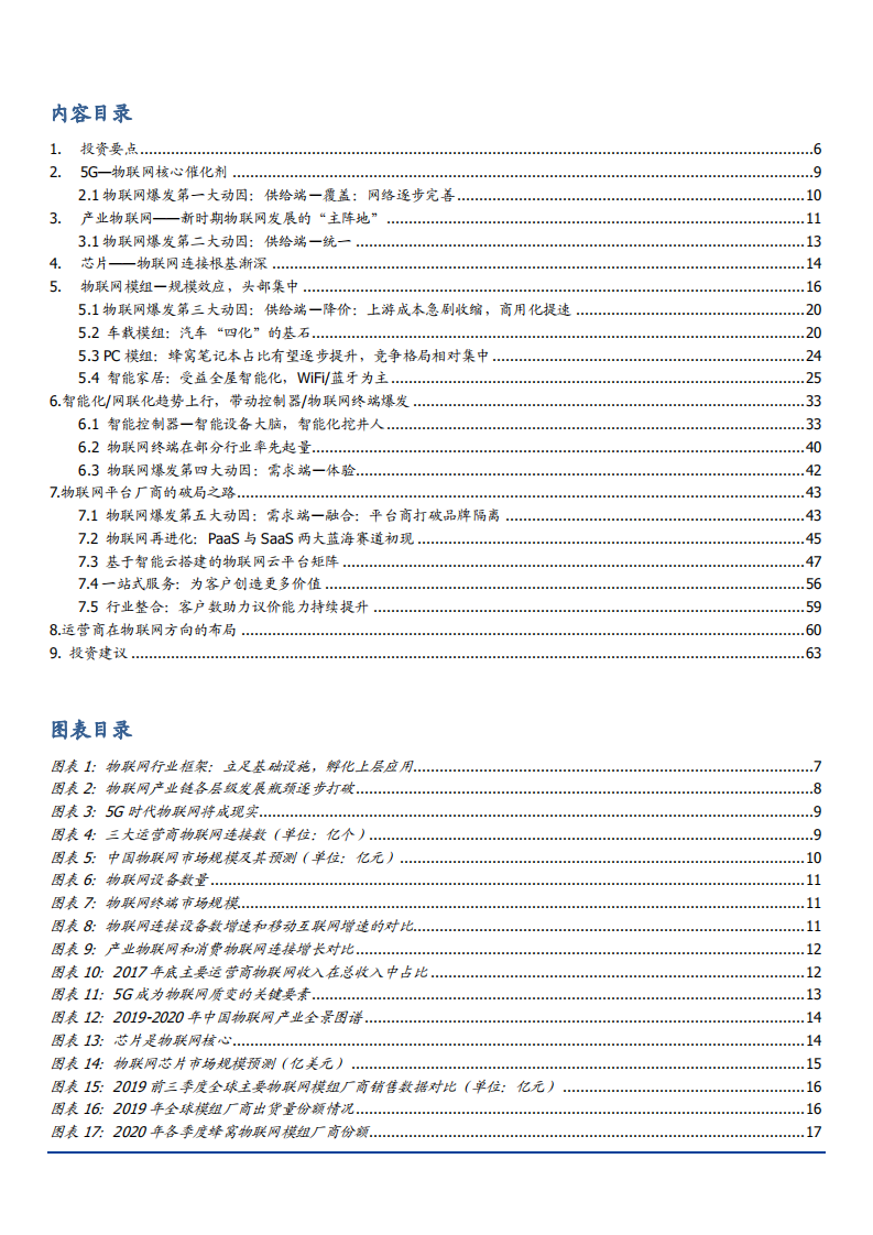2021年通信行业物联网发展动力与未来前景分析报告.pdf 第1页