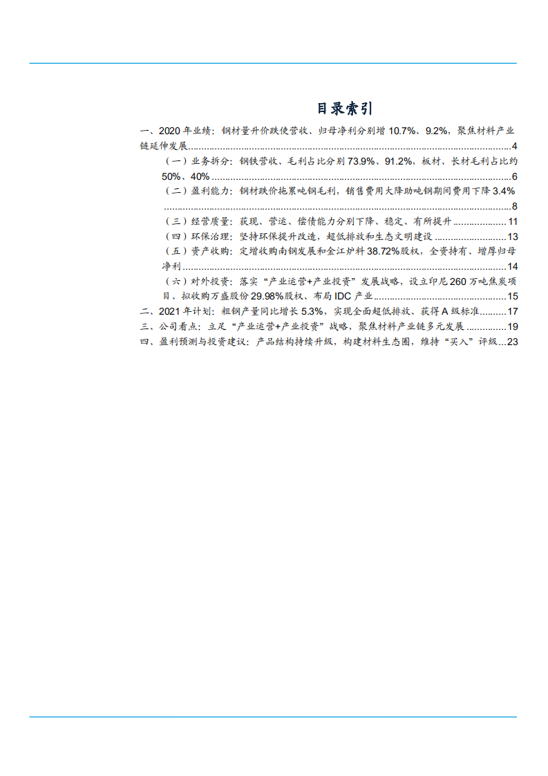 2021年钢铁行业南钢股份公司战略及产业链分析报告.pdf 第1页