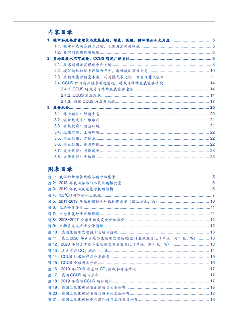 2021年环保行业负排放及CCUS技术发展趋势分析报告.pdf 第1页