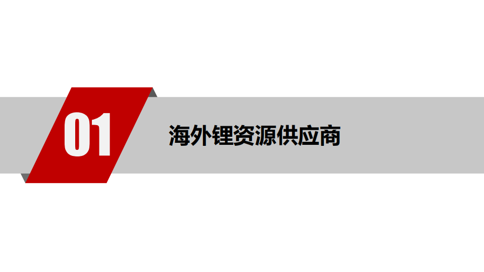 2021年环保行业全球锂资源概况分析报告.pdf 第2页