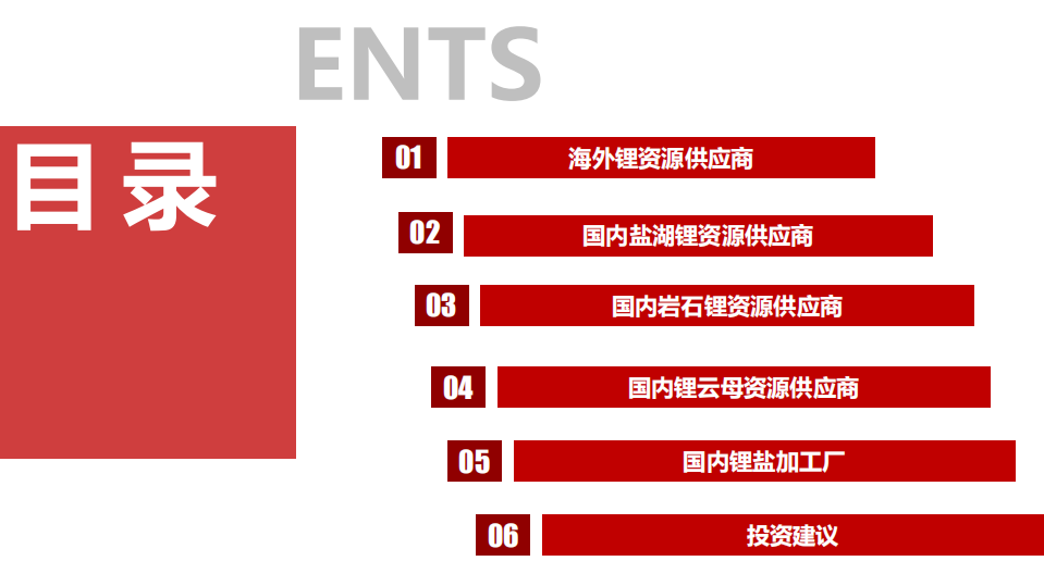2021年环保行业全球锂资源概况分析报告.pdf 第1页