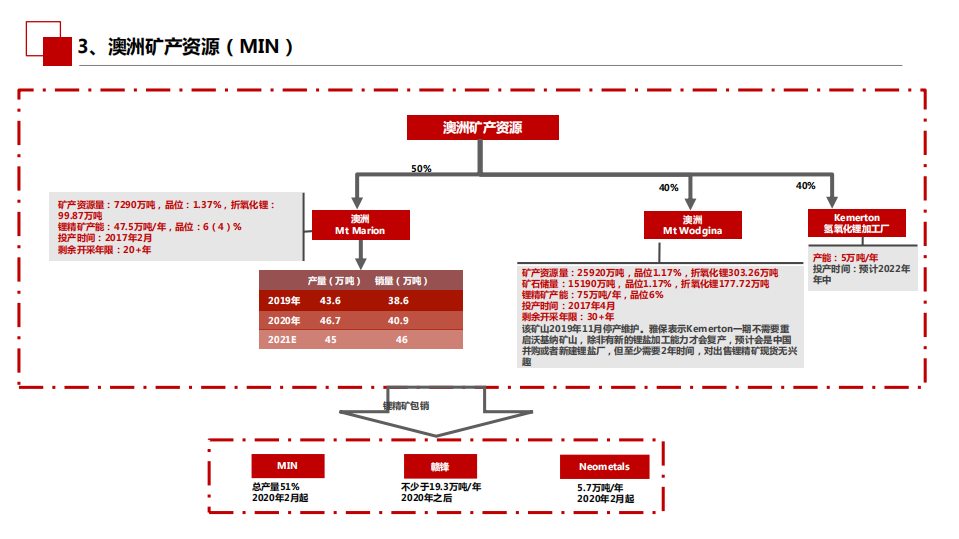 2021年环保行业全球锂资源概况分析报告.pdf 第5页