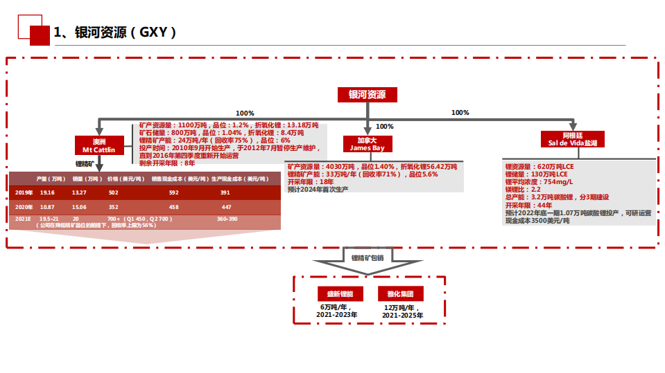2021年环保行业全球锂资源概况分析报告.pdf 第3页