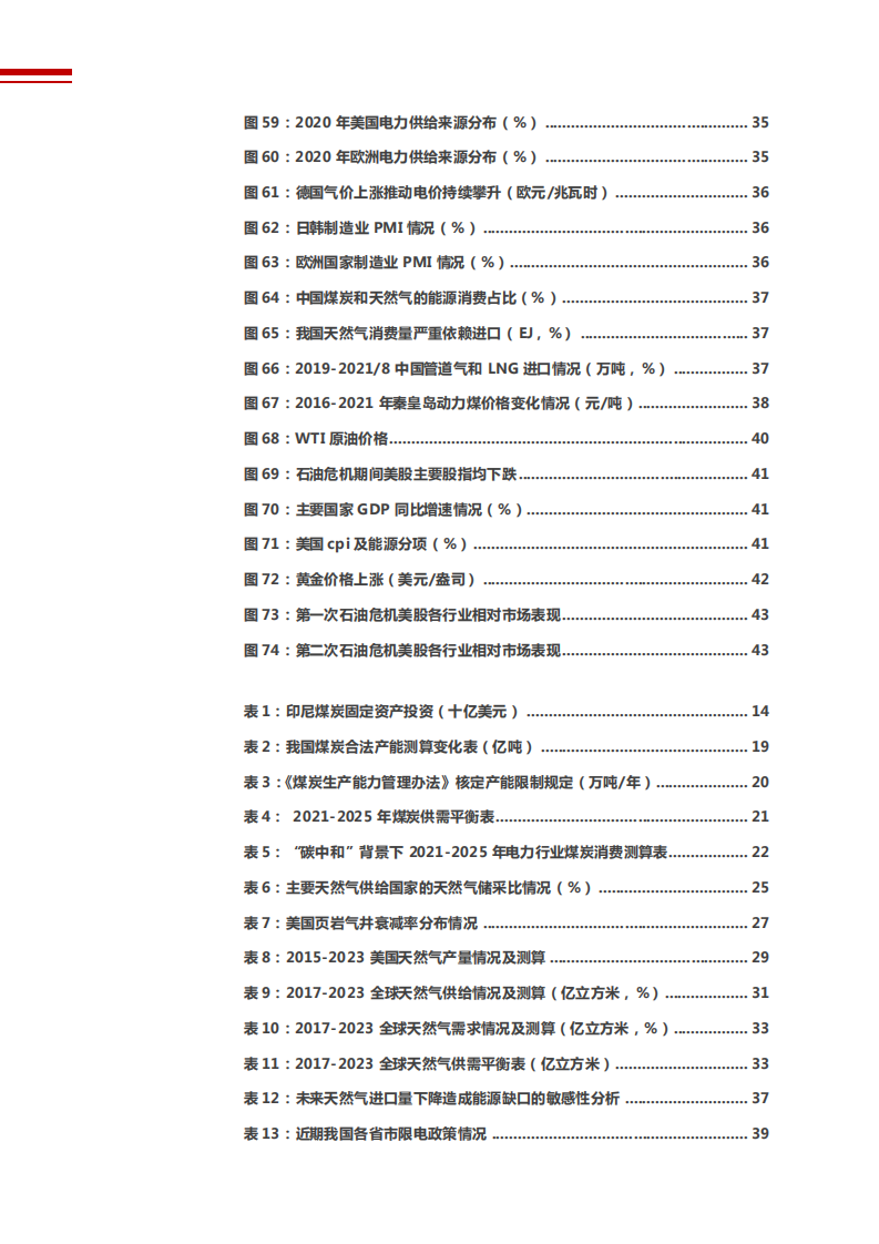 2021年全球煤炭及天然气行业市场供需分析研究报告.pdf 第4页