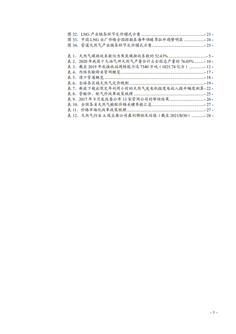 2021年中国天然气行业现状与供需矛盾及价格改革研究报告.pdf 第2页