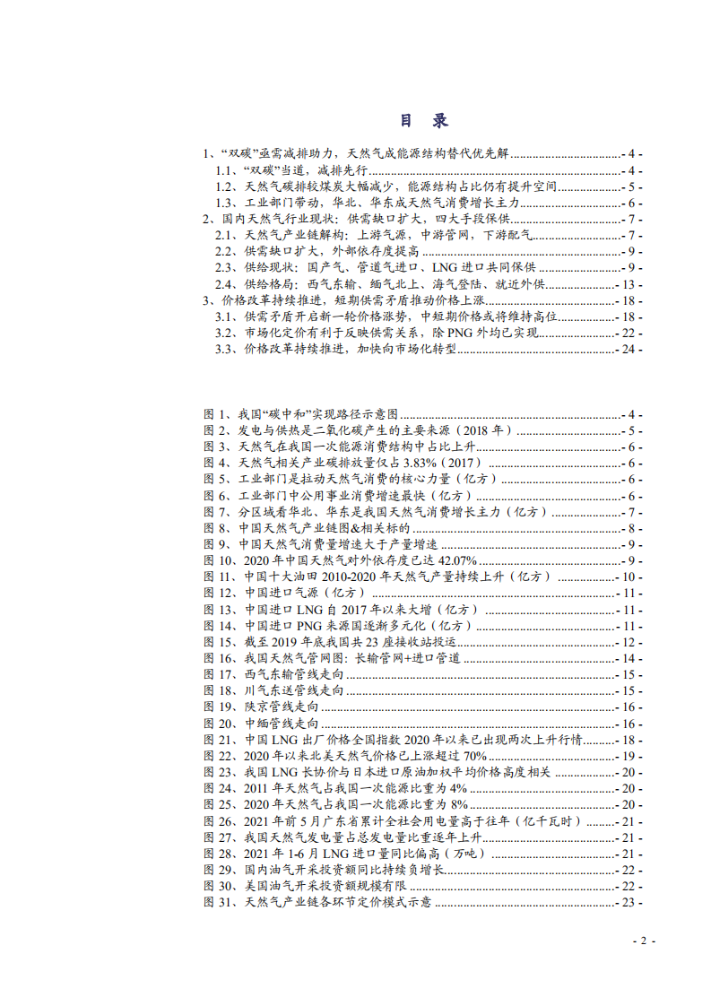 2021年中国天然气行业现状与供需矛盾及价格改革研究报告.pdf 第1页