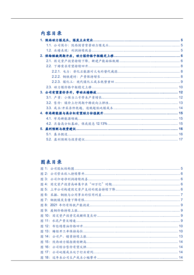 2021年陕西煤业新能源布局与煤炭行业供需趋势分析报告.pdf 第1页