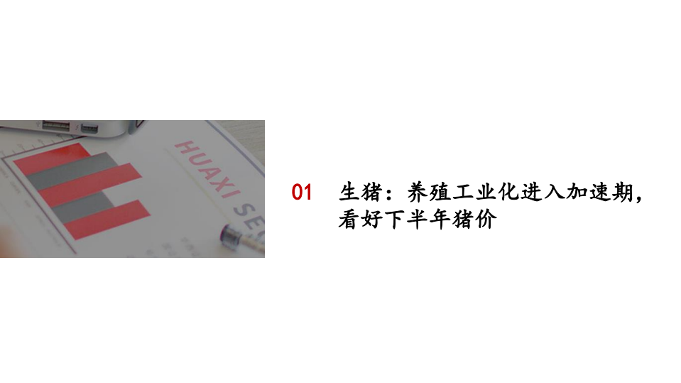 2021年农林牧渔行业中国生猪养殖与种植产业前景分析报告.pdf 第2页