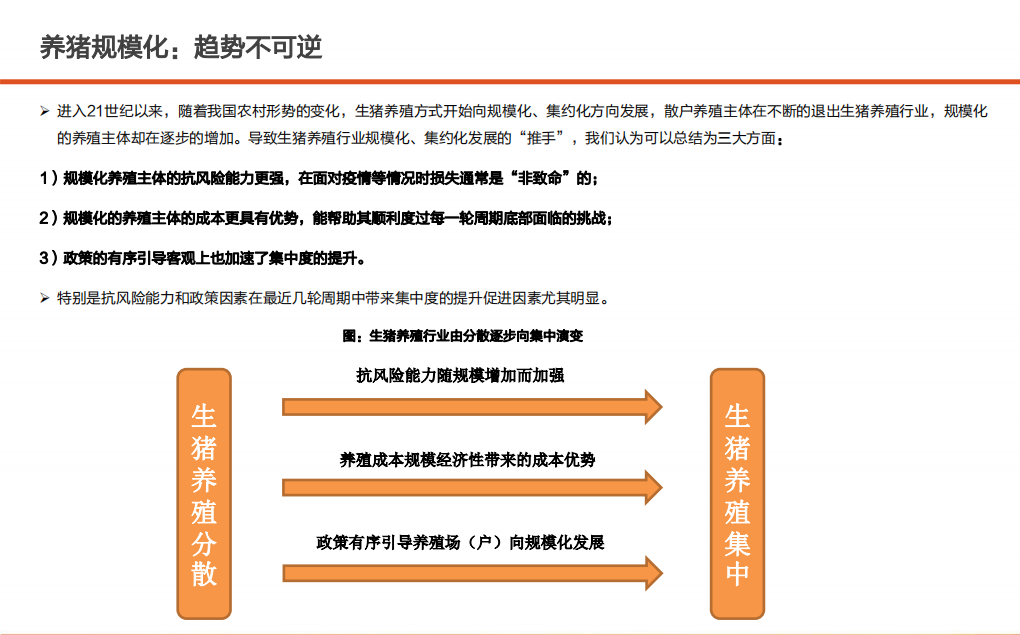 2022年生猪养殖规模化趋势及行业政策优势分析报告.pdf 第3页