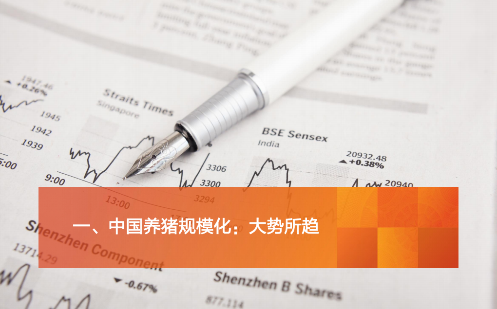 2022年生猪养殖规模化趋势及行业政策优势分析报告.pdf 第2页