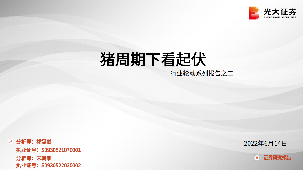 行业轮动系列报告：猪周期下看起伏-220615.pdf 第1页
