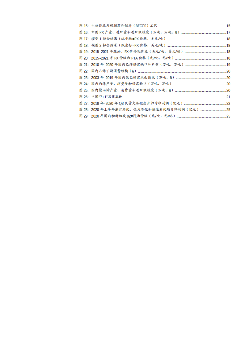 2021年石油化工行业民营大炼化项目与未来前景分析报告.pdf 第2页