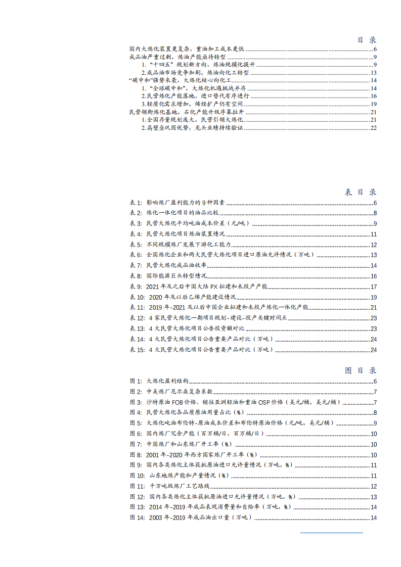 2021年石油化工行业民营大炼化项目与未来前景分析报告.pdf 第1页