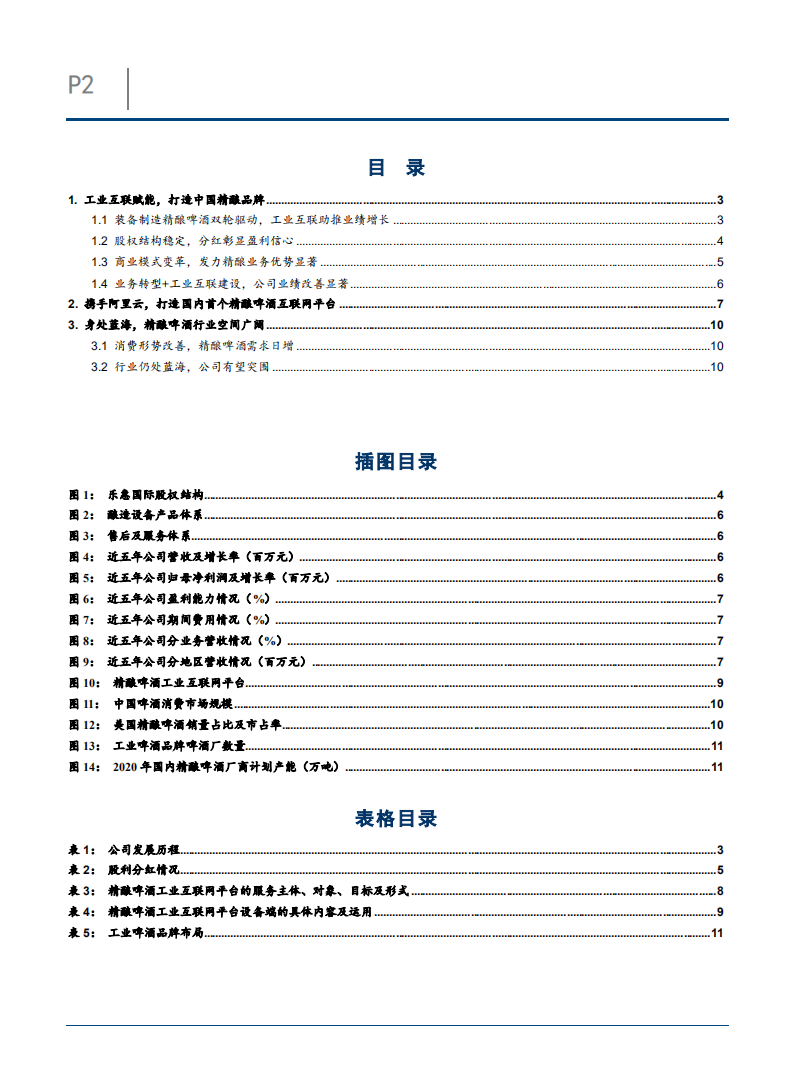 2021年乐惠国际商业模式业务转型发展趋势及精酿啤酒行业分析报告.pdf 第1页