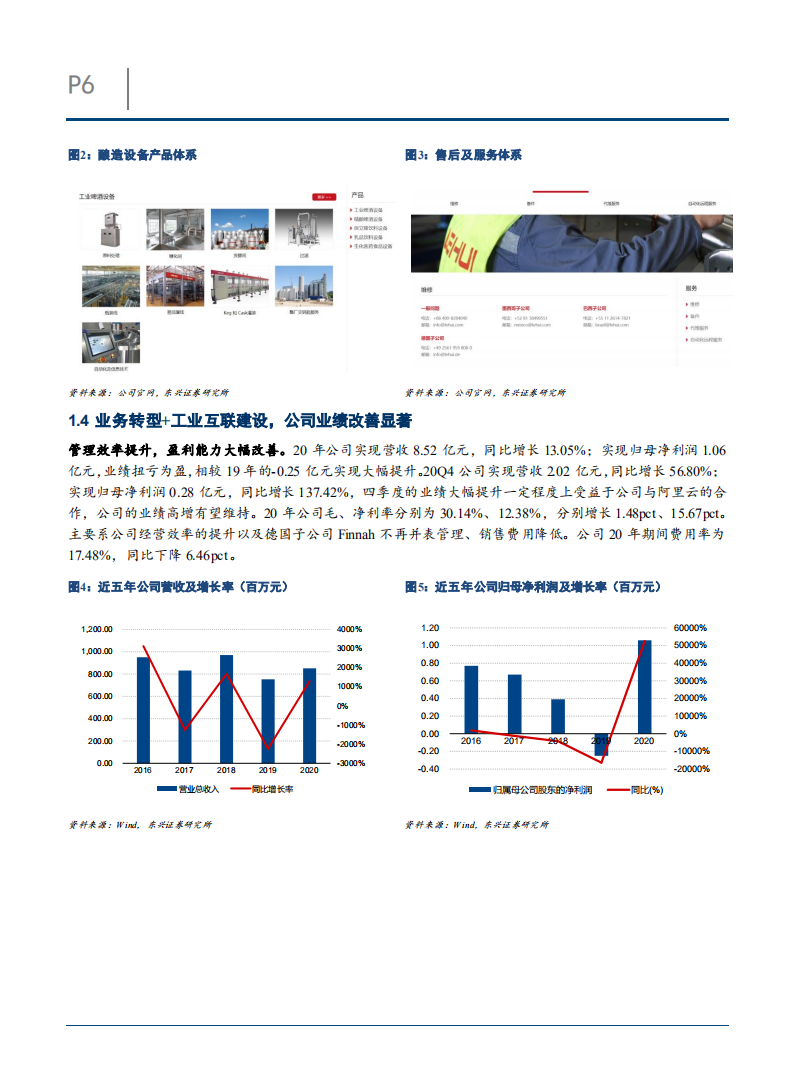 2021年乐惠国际商业模式业务转型发展趋势及精酿啤酒行业分析报告.pdf 第5页