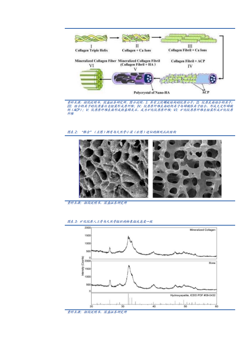 2021年奥精医疗公司全球竞争优势及中国骨修复材料行业研究报告.pdf 第5页
