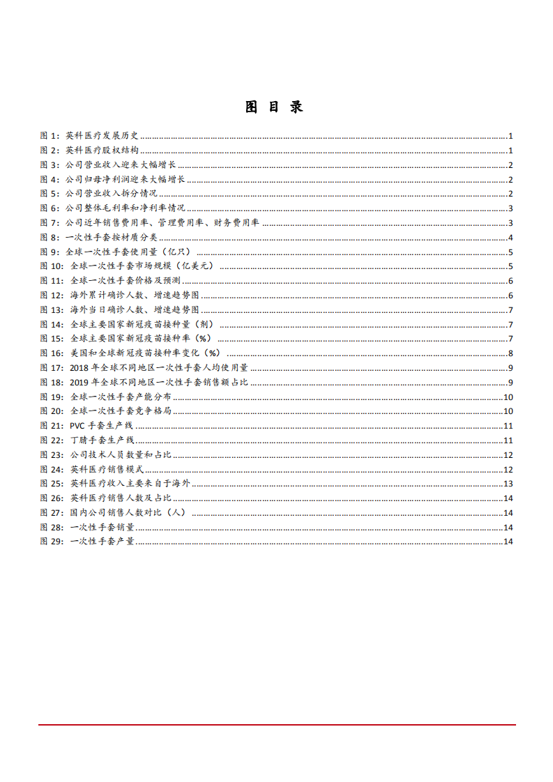 2021年英科医疗公司竞争优势与一次性手套行业格局分析报告.pdf 第2页
