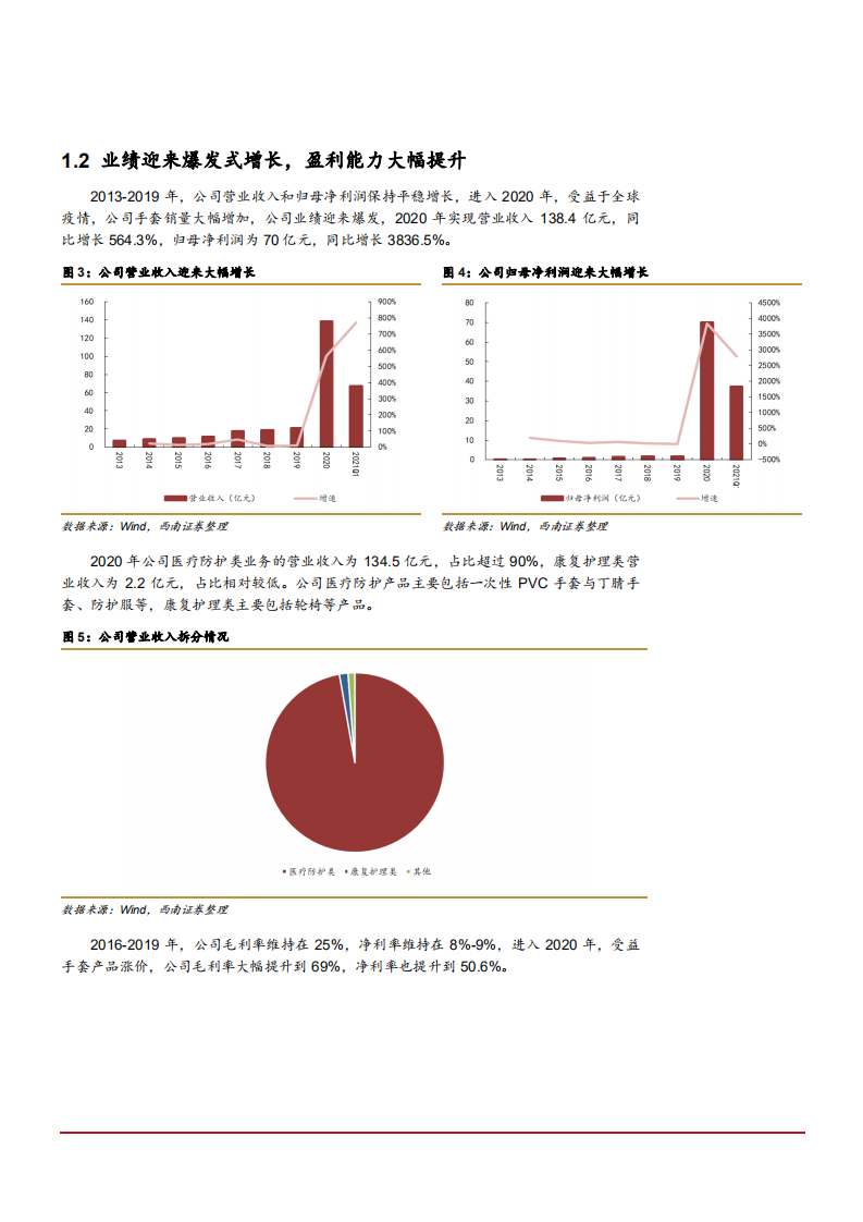 2021年英科医疗公司竞争优势与一次性手套行业格局分析报告.pdf 第5页