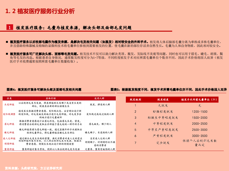 2021年植发行业发展空间与雍禾医疗公司竞争优势分析报告.pdf 第6页