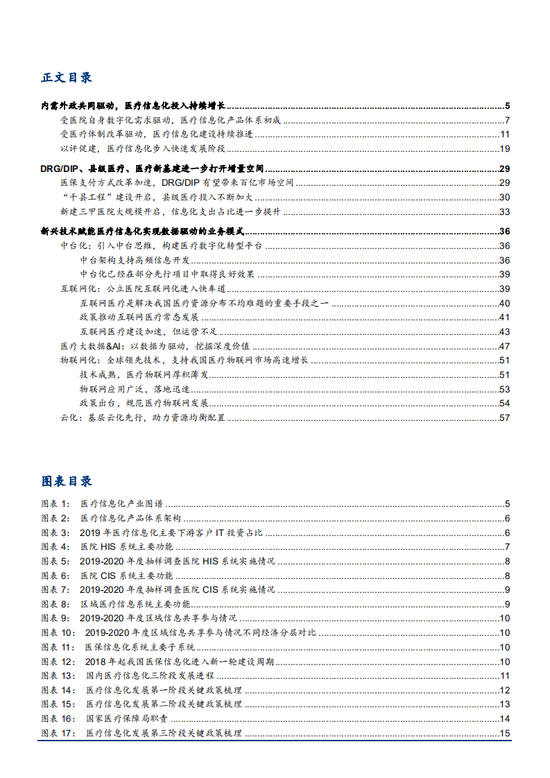 2022年医疗IT行业医疗信息化业务发展模式研究报告.pdf 第1页